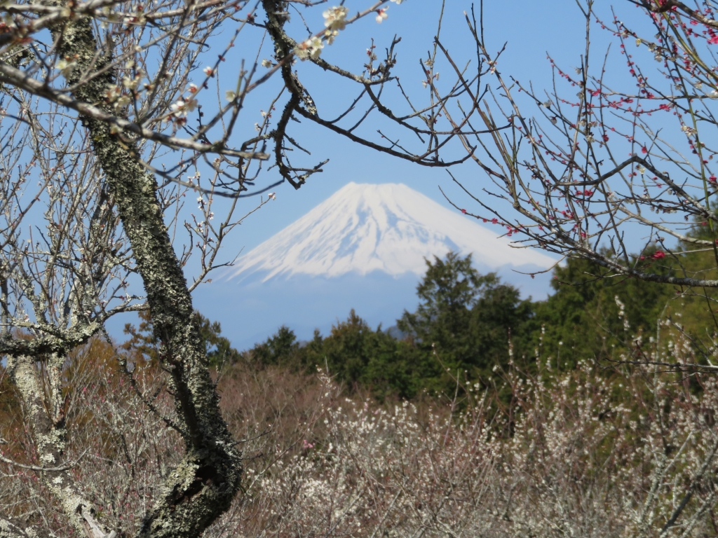 IMG_4102.JPG