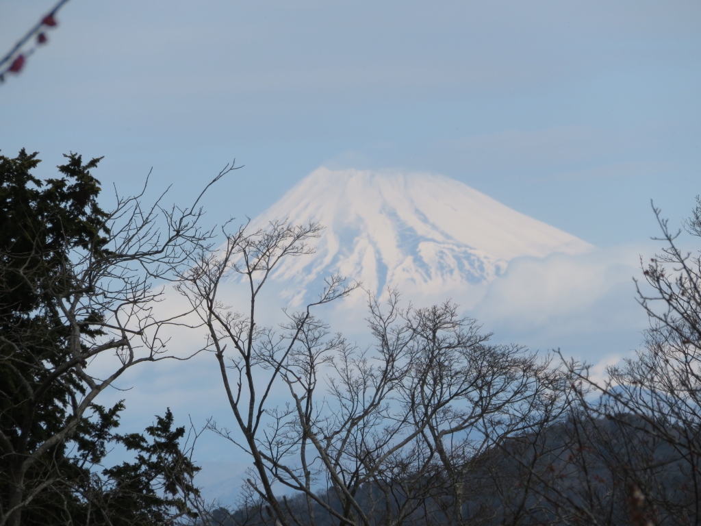 IMG_4369.JPG