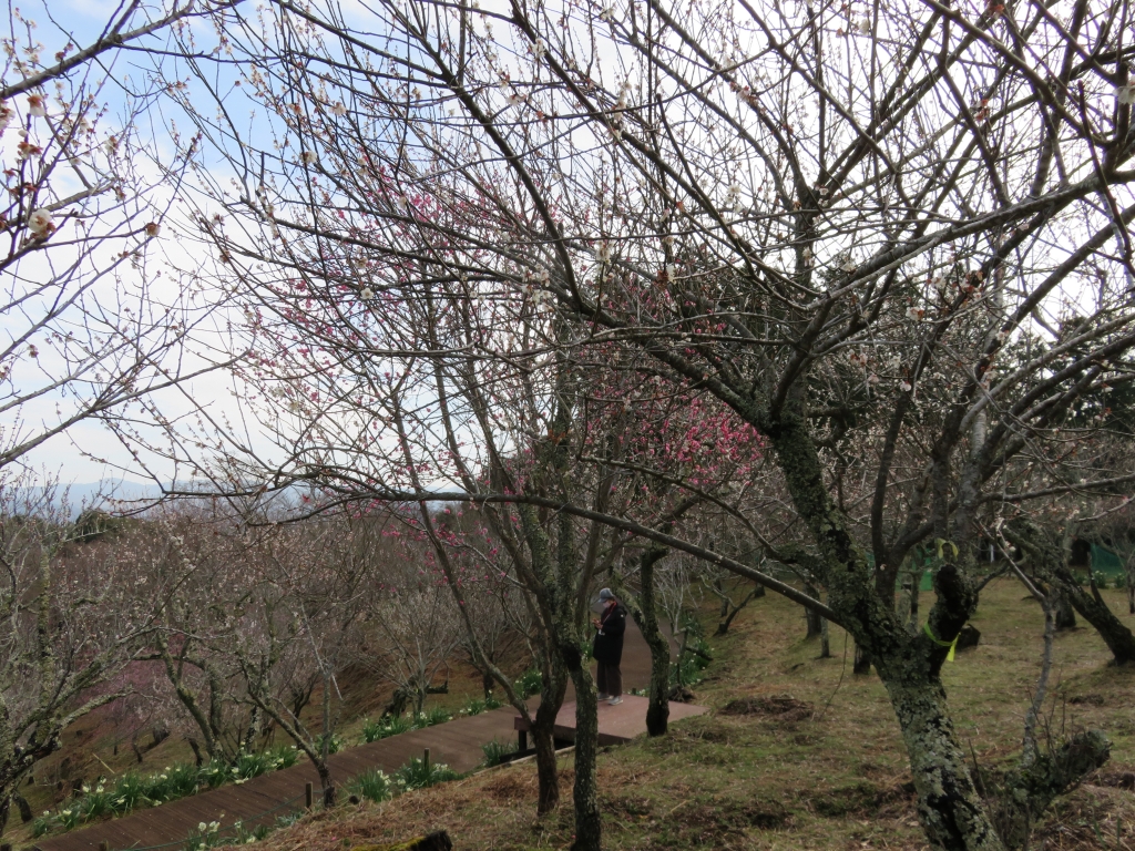 IMG_4406.JPG