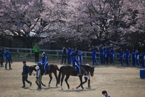 DSC_8042.JPG