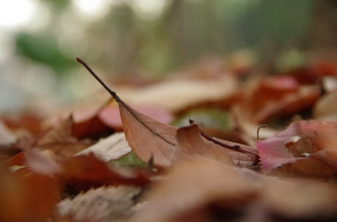 IMGP9191.JPG