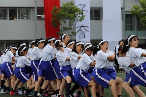 援軍綱引き.JPG