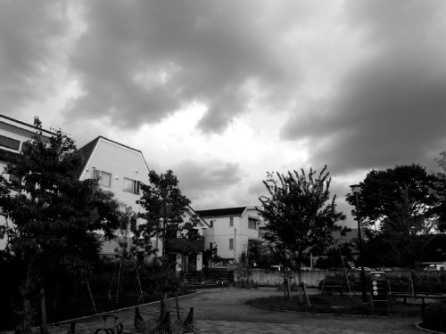 100_0010S.jpg