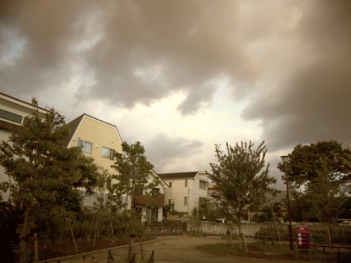 100_0007S.jpg