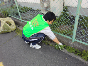 マイロード5.jpg