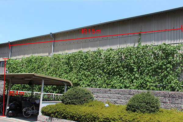 カーテン全体.jpg