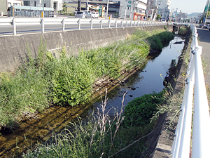 大川清掃