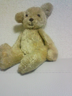 bear