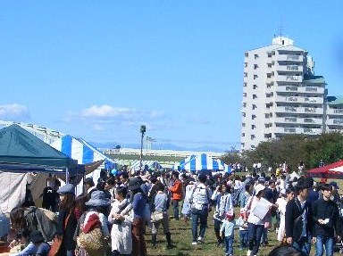 会場