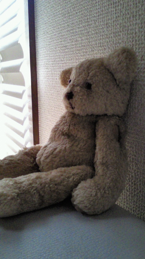 teddy