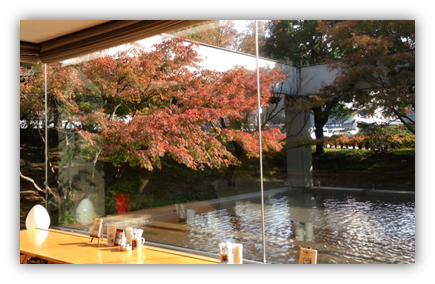 131124紅葉2.png