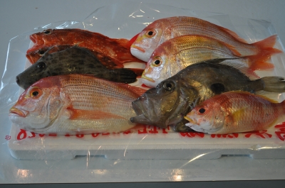 これぞ鮮魚セット!