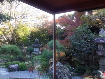 Ashiga1126_1 (8).jpg