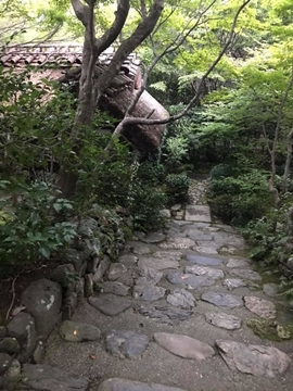 A1.jpg