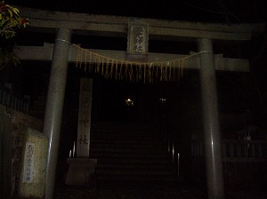 よく撮ったなあ我ながら…。
