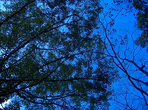 山頂にて