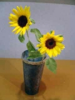 20050703