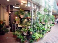 お店