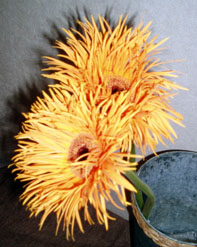 花