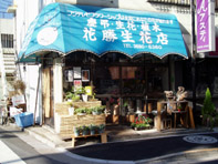 花 求人 募集 フラワーショップ