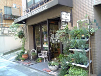 花屋 フラワーショップ 求人 募集