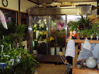 花屋 フラワーショップ 求人 募集