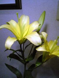 花