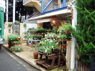 花 求人 募集 フラワーショップ