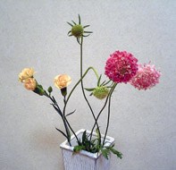 花 求人 募集 フラワーショップ