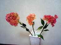 花 求人 募集 フラワーショップ
