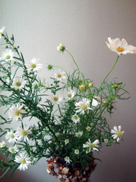 花屋 フラワーショップ 求人 募集