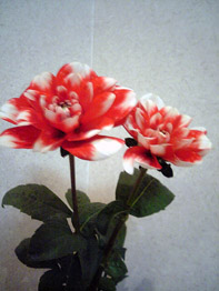 花 求人 募集 フラワーショップ