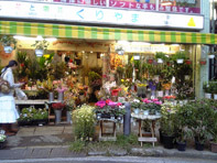 花 求人 募集 フラワーショップ