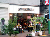 花 求人 募集 フラワーショップ