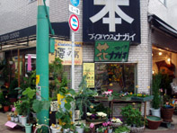 花 求人 募集 フラワーショップ