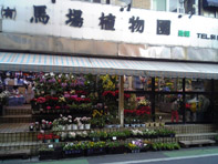 花 求人 募集 フラワーショップ