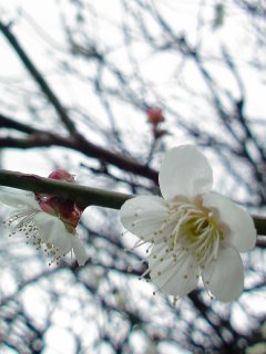 100307_1225~01.jpg