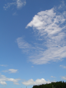 2008.10.01-no2