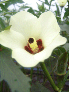 2010.06.22