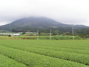 2010.07.13