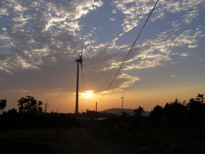 2010.11.15
