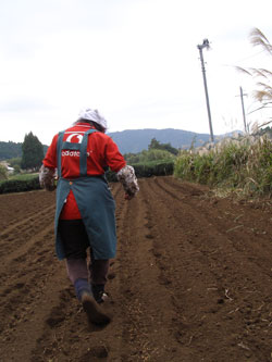 2010.11.19-no1