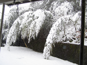 2010.12.31-no1