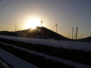 2011.1.11-no1