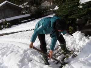 2011.1.11-no2