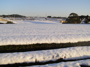 2011.1.11-no3