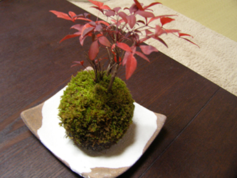2011.1.16-no3