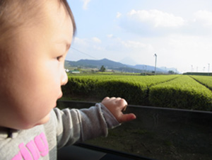 2013.03.29-no1