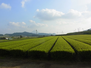 2013.03.29-no2