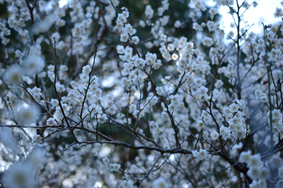2015.02.16-no1